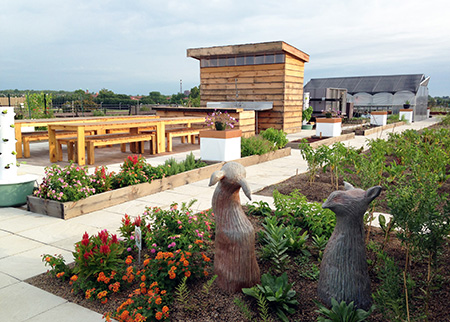 Urban Harvest Food Roof Farm